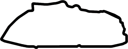 Skiss över Le Mans