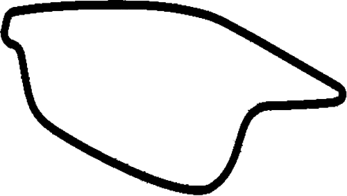 Skiss över Pukekohe Park Raceway