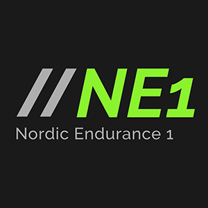 NE1 Advance logotyp