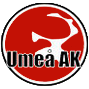 Umeå Automobilklubb logo